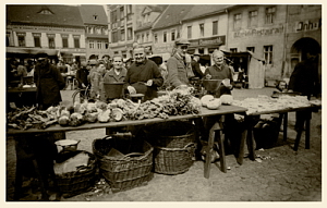 Senftenberg